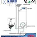 Farola LED de 9 m Pole 100W (BDTYN9100-1)